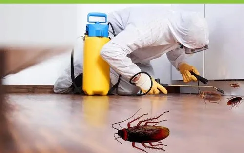 مكافحة الصراصير في الرياض